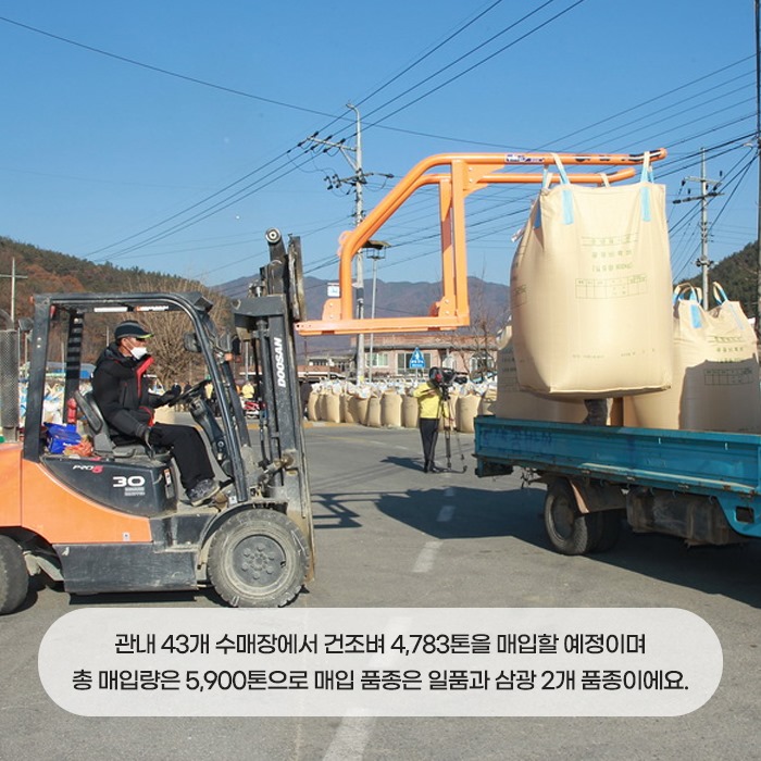3.2020년산 공공비축미 건조벼 매입 시작